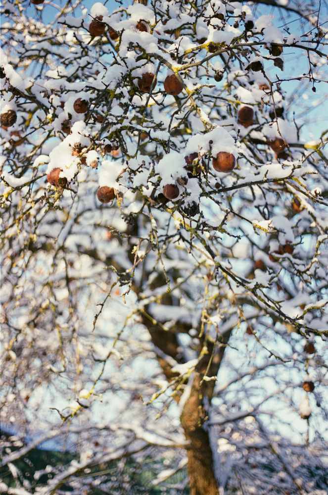 Уютная зима