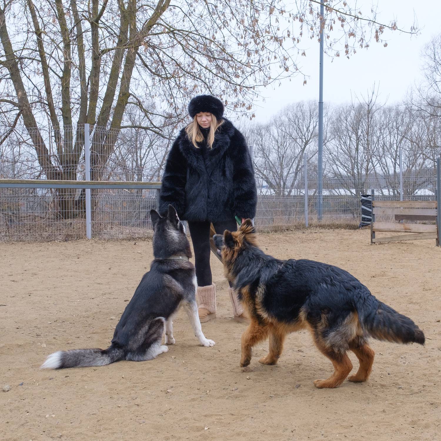 Мы с тобой одной крови, ты и я