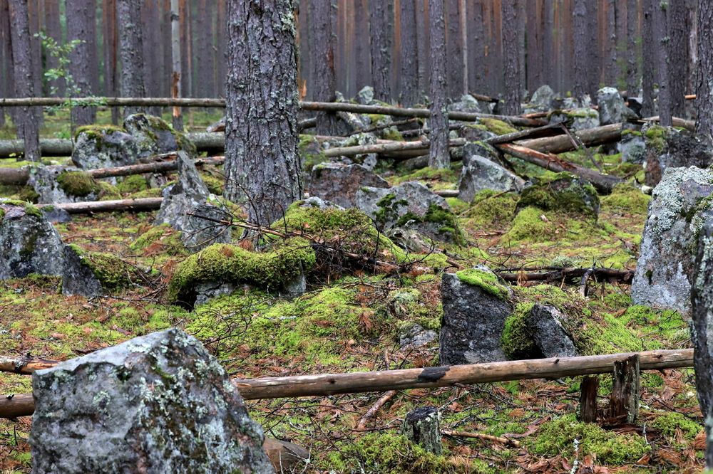 Photograph by елена