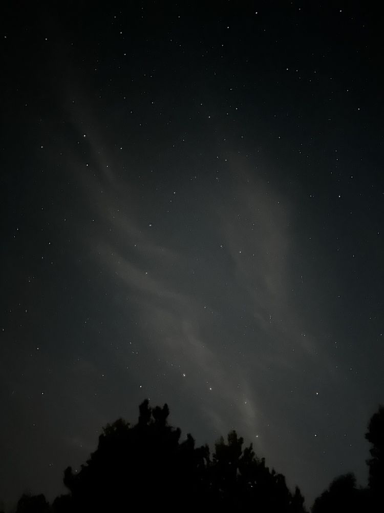 Photograph by Татьяна Веселова