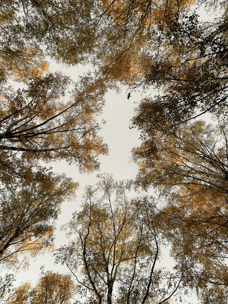 Photograph by Дарья Махнёва