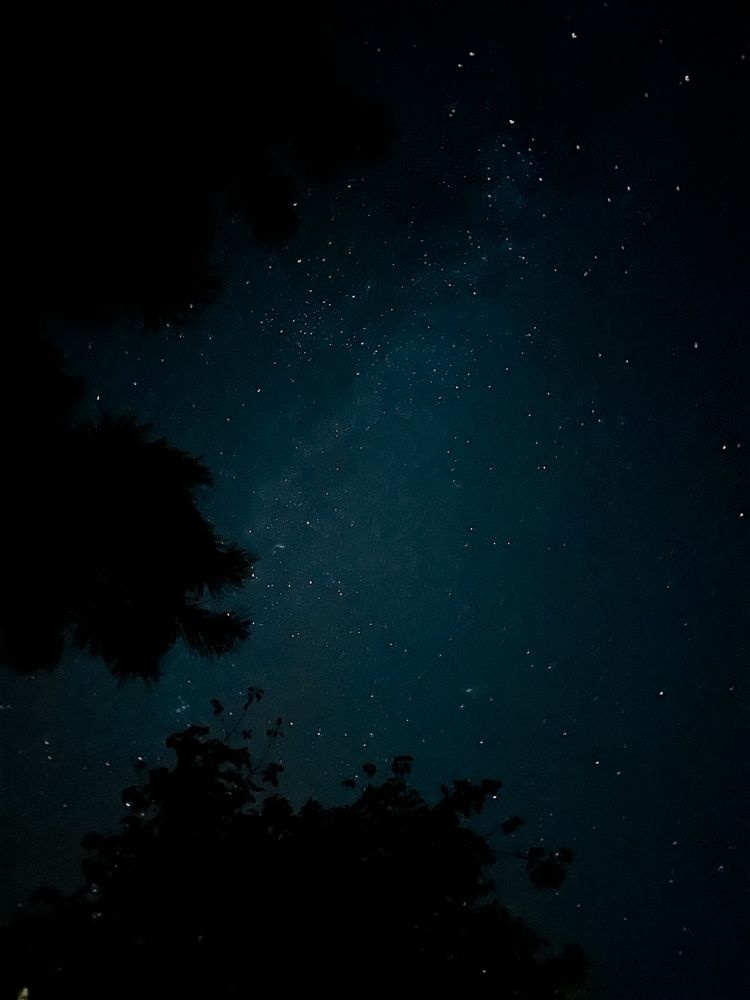 Photograph by Татьяна Веселова