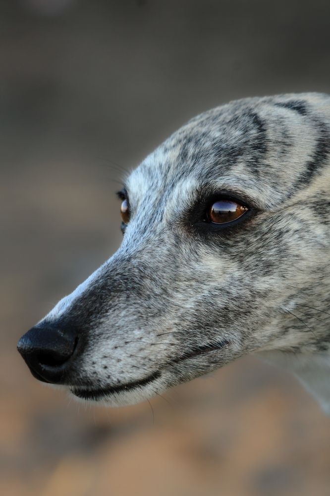 Photograph by Ангелина Высочина