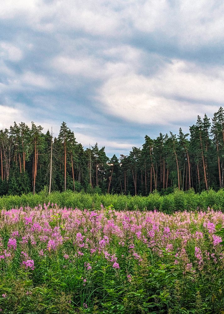 Photograph by Константин Власов