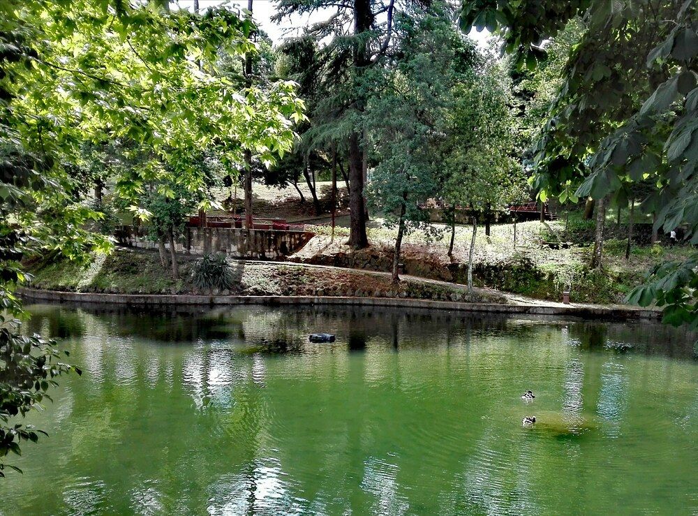 Photograph by Maria Céu Peixoto