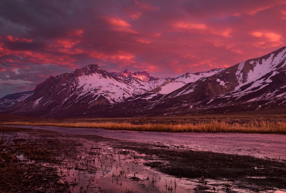 Фотография автора Matias López