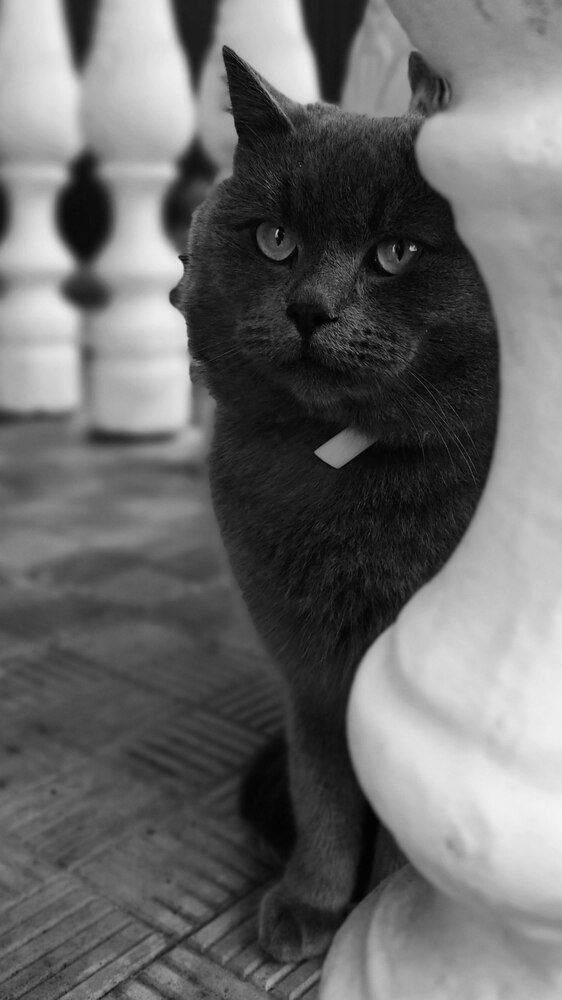 Photograph by Анна