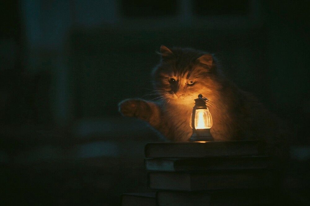 Photograph by Татьяна Полоцкая