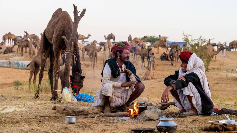 Photograph by Mustafa Sahin