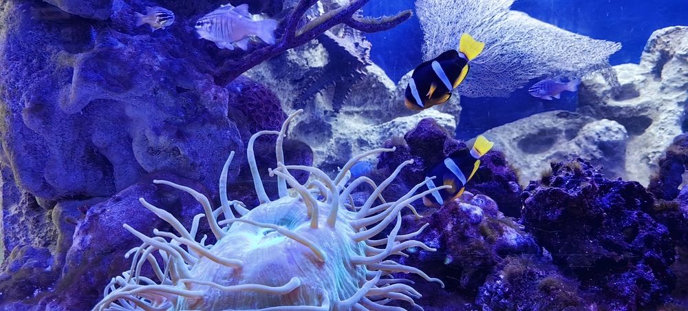 Подводный мир