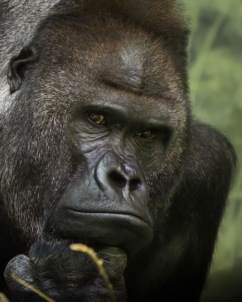 Photograph by Lena Melnikova