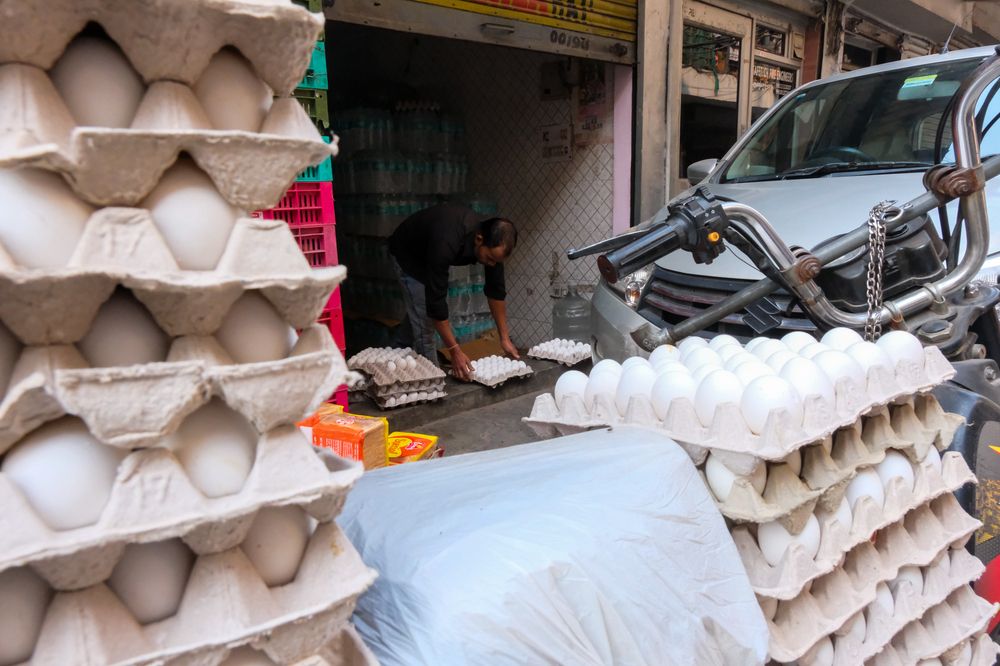 Фотография автора Manolis Soulos