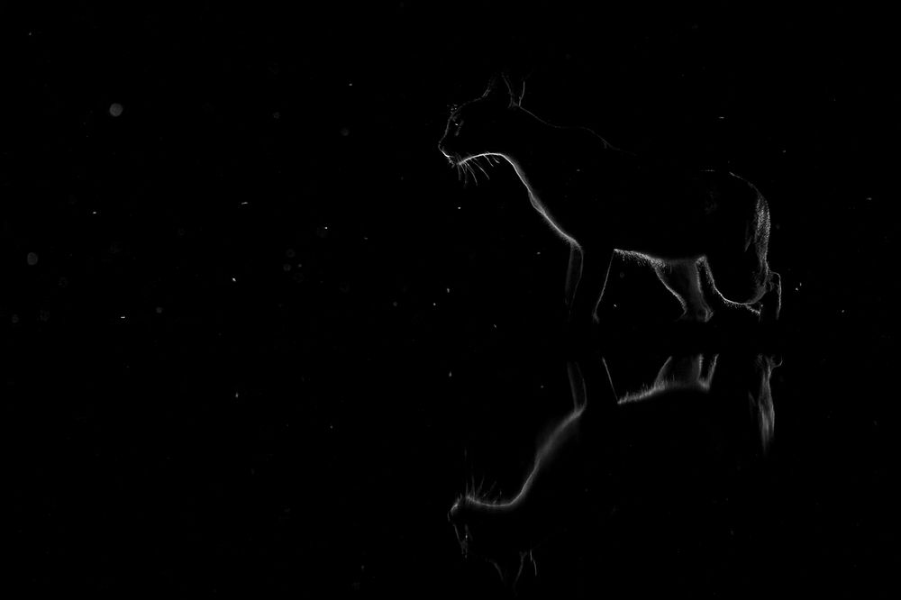 Photograph by Juraj Benčík