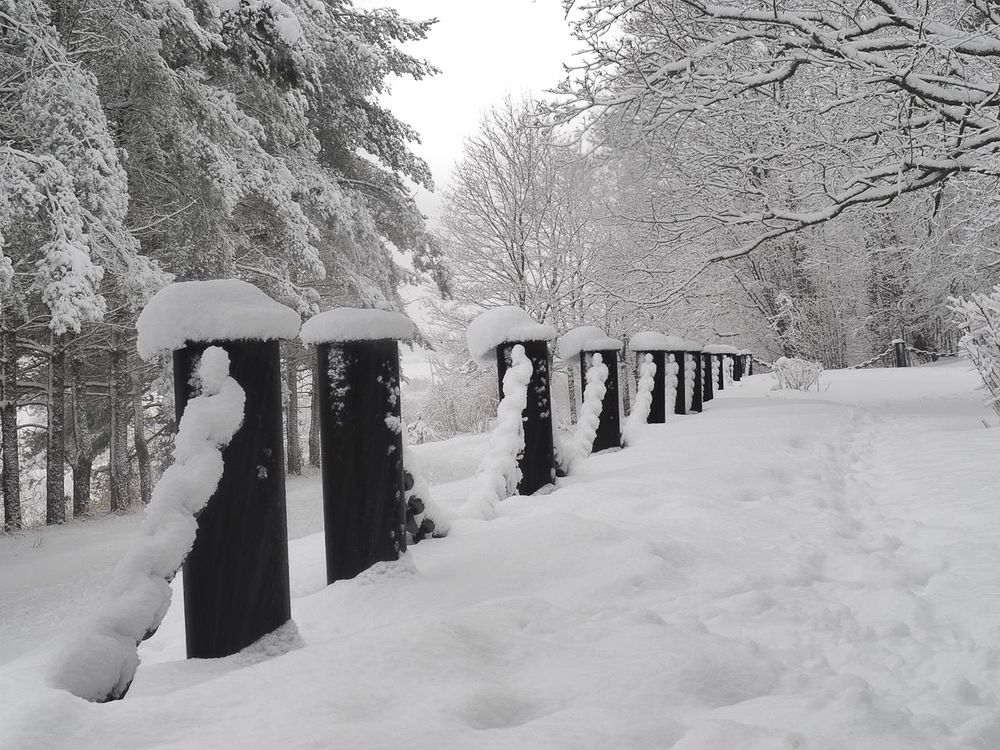 Photograph by Алекс Ти