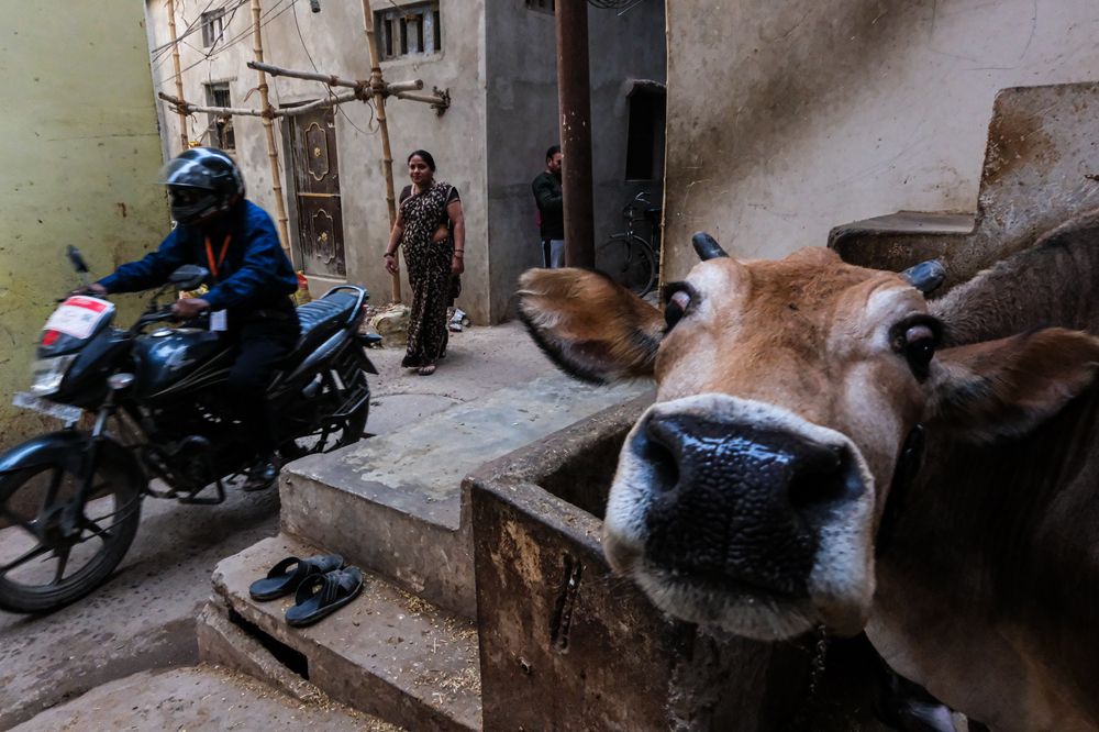 Фотография автора Manolis Soulos