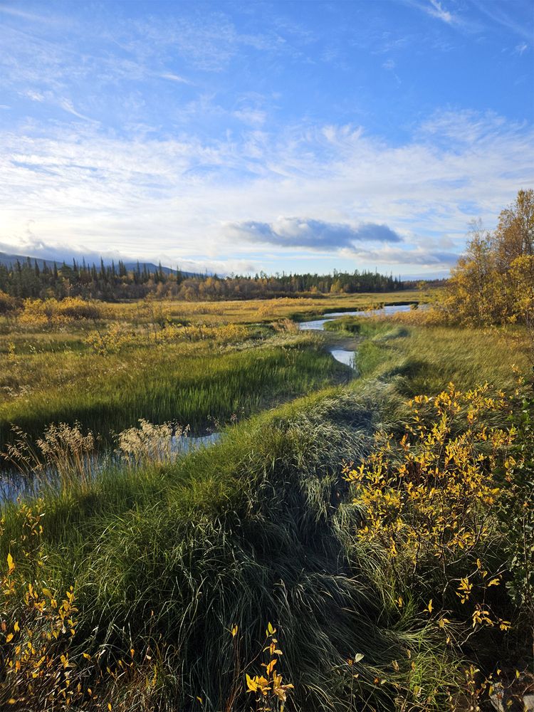 Фотография автора Андрей Русских