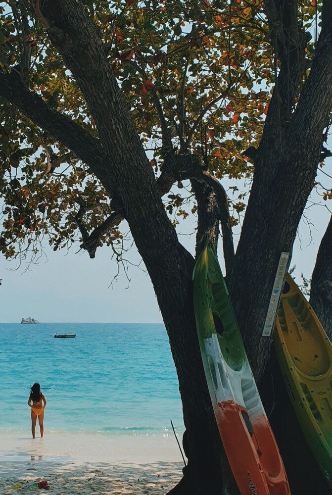 Photograph by Александр Люмьер