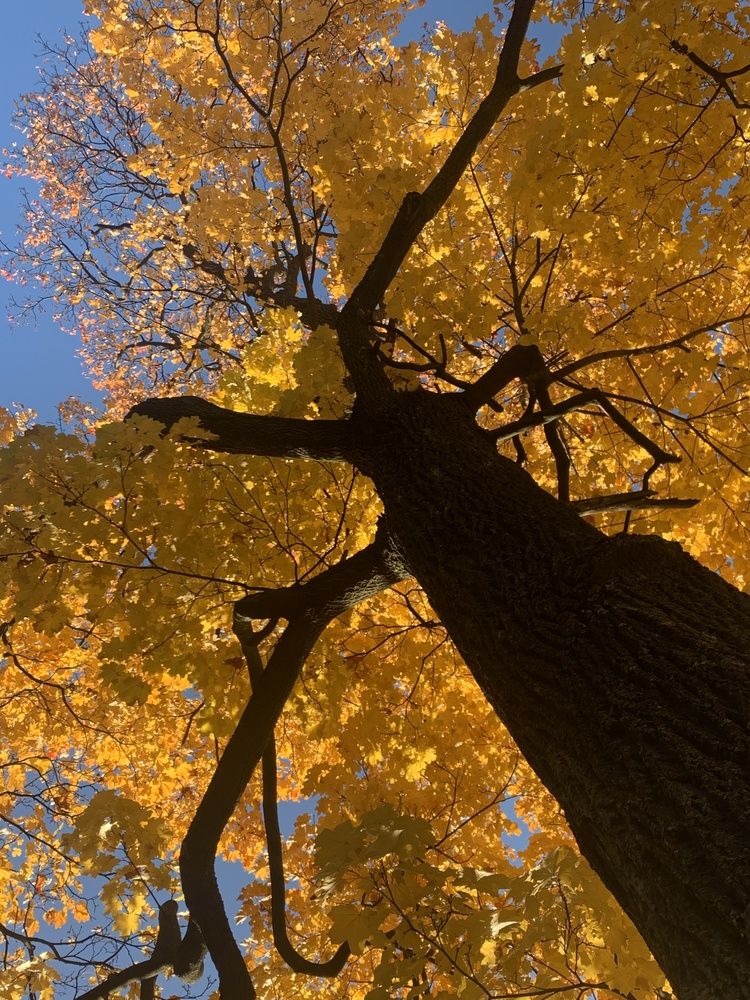 Photograph by Наталия Тарасова