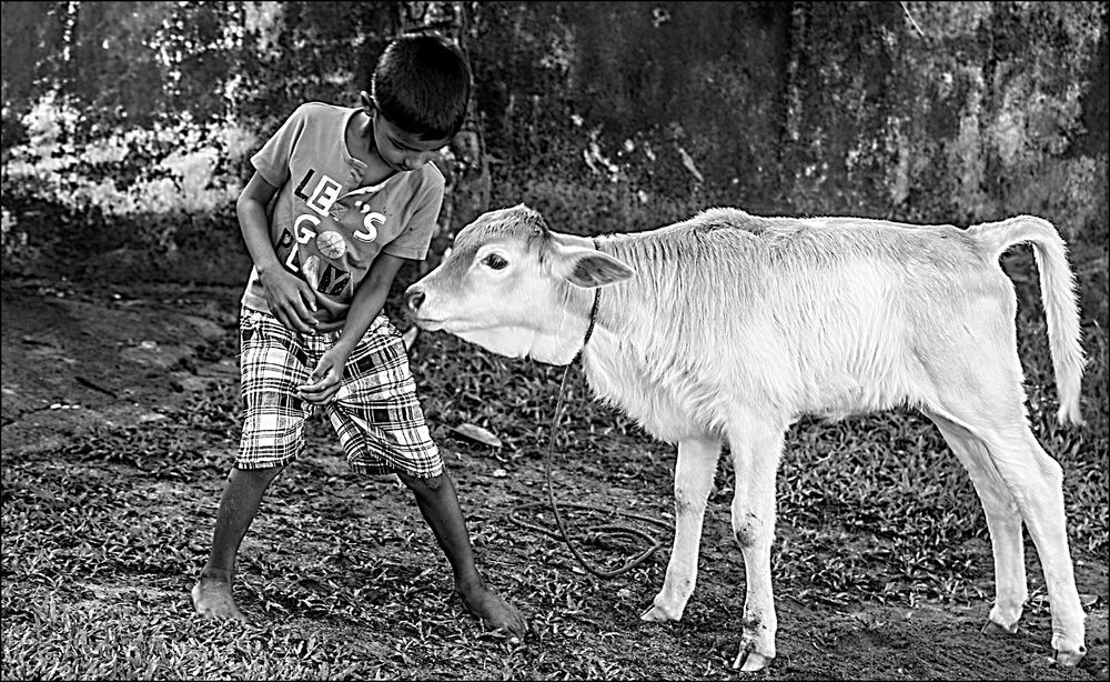 Фотография автора THILANI SHANIKA H.W.