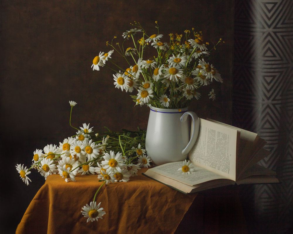 Photograph by Светлана Кавказская