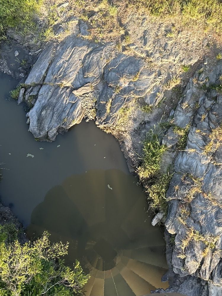 Photograph by Игорь Чебунин