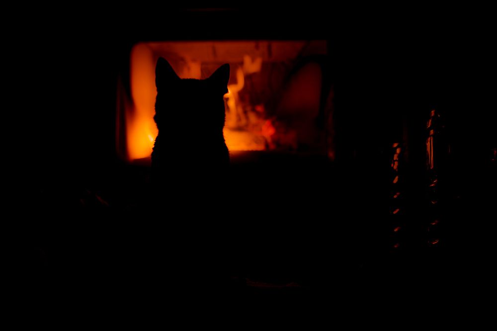 Photograph by Mustafa Sahin