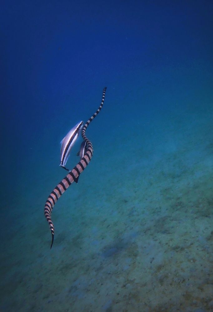 Photograph by Кирилл Леднев