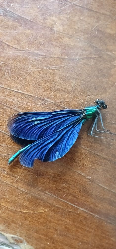 Photo #12039260