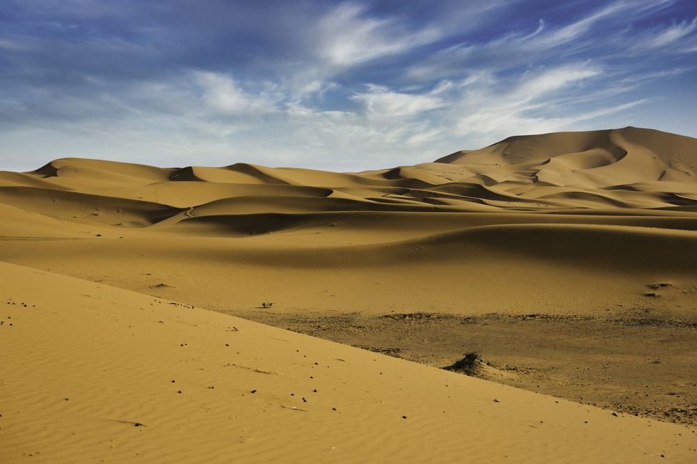 Photograph by Michael Latman