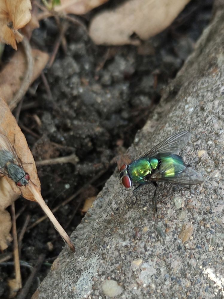 Photograph by Светлана Холодова