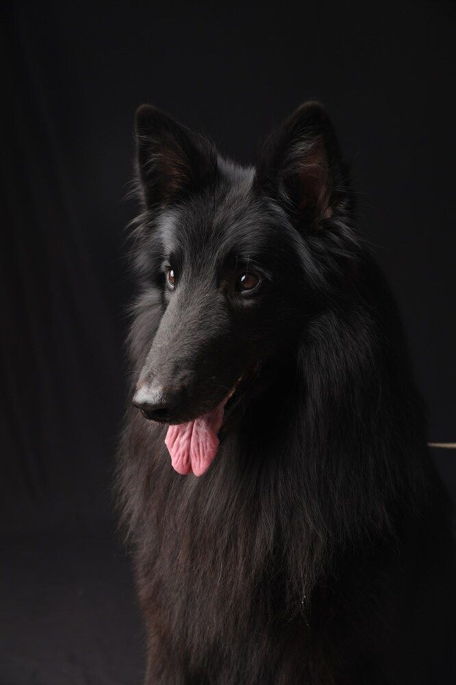 Photograph by Ксения Бабаева