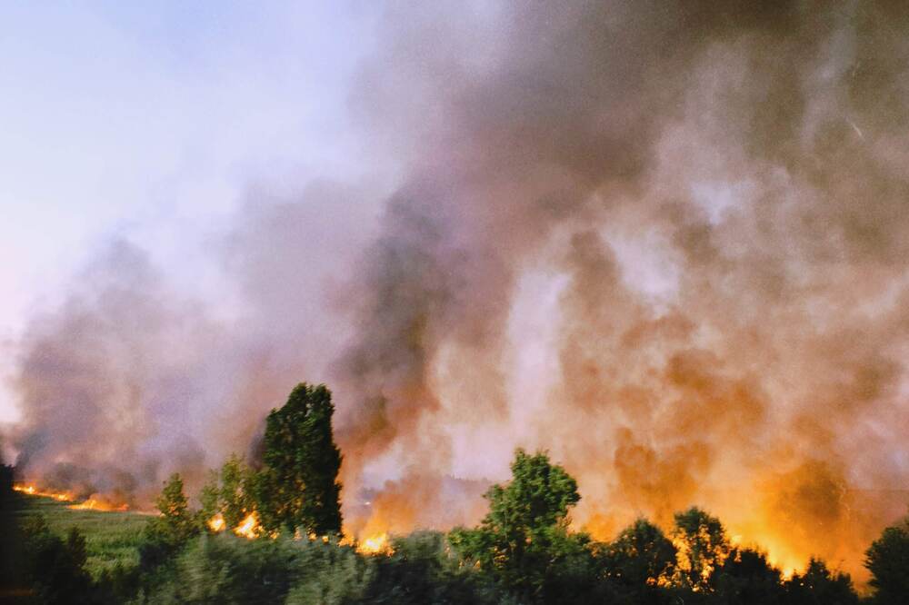 Photograph by Иван Никонов