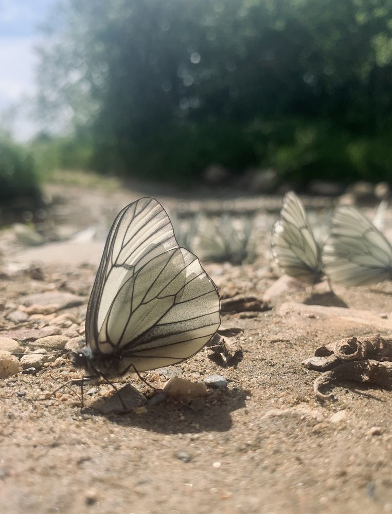 Photograph by Наталия Тарасова