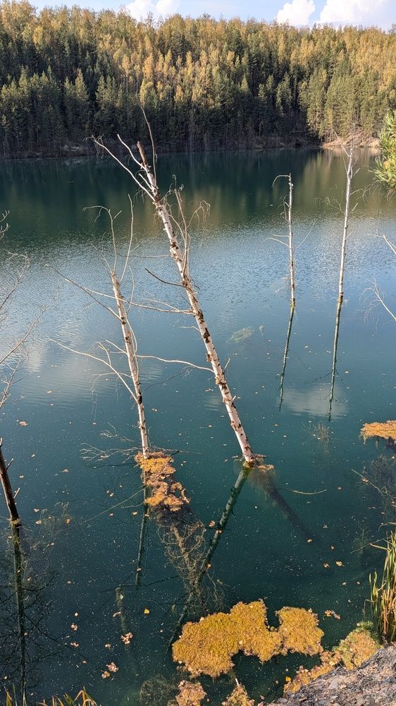 Photograph by Наталья Рассохина
