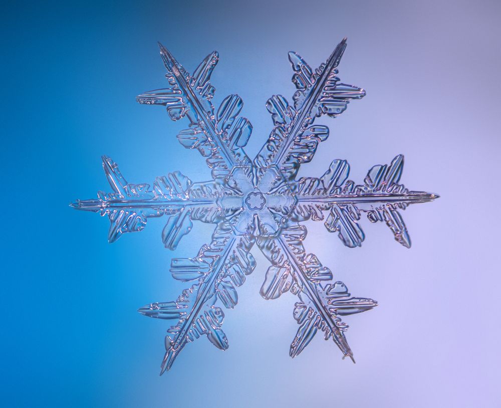 Геометрия зимы