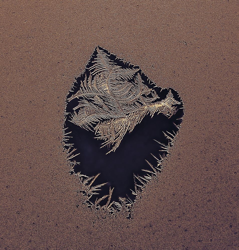 Photograph by Natalia Bolotenkova