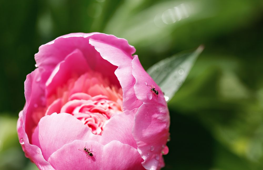 Photograph by Наталья Матюхина