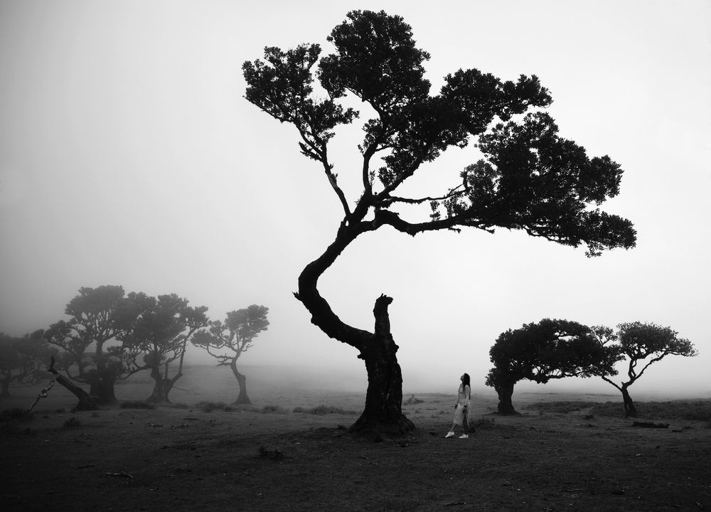 Photograph by Milan Uhrin