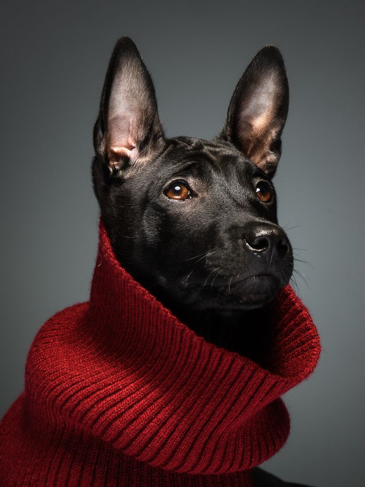 Photograph by Антон Ростовский