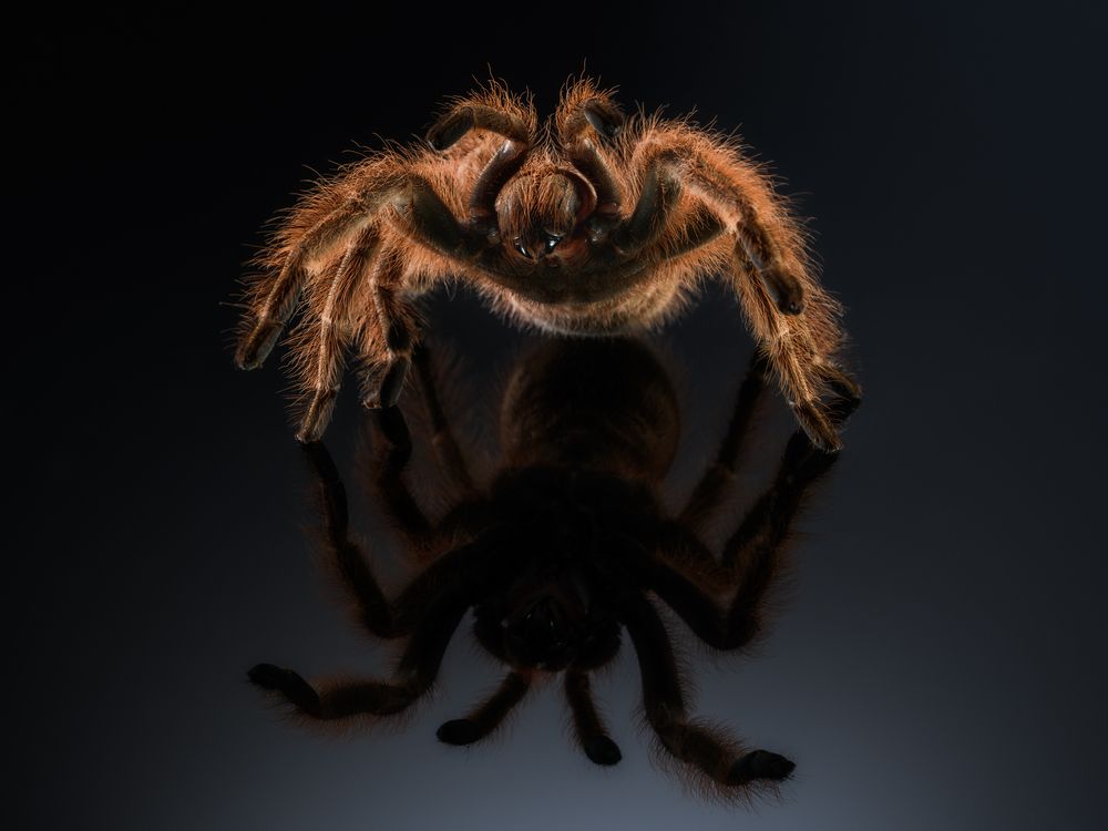 Photograph by Антон Ростовский