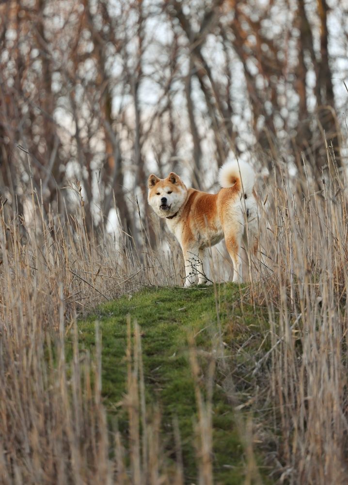 Photograph by Sergey Chernyak
