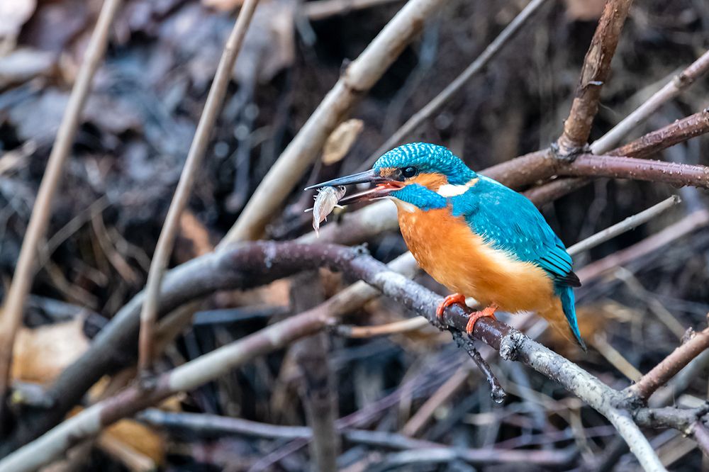 Photograph by Абросимов Александр