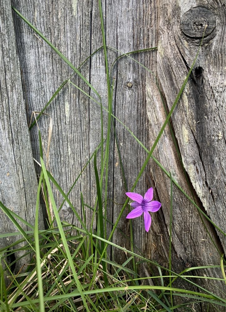 Photograph by Наталия Тарасова