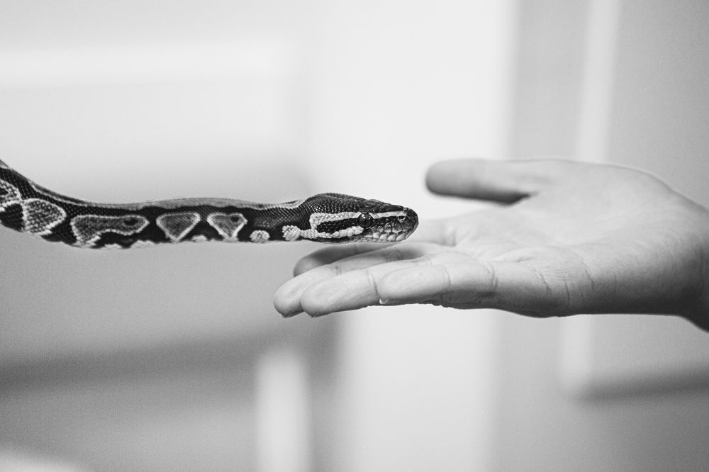 Фотография автора Ольга Анохина