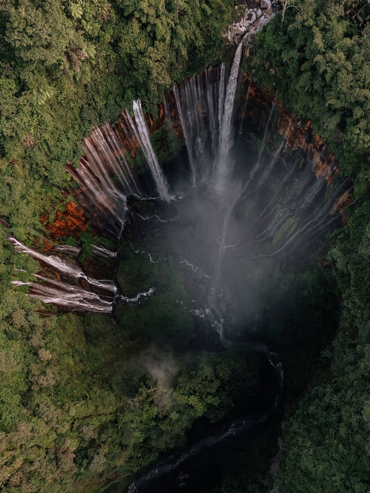 Photograph by Анастасия Сауль