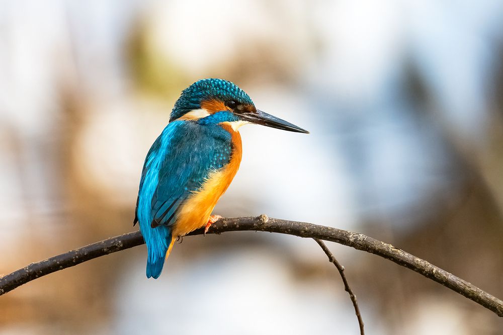 Photograph by Абросимов Александр