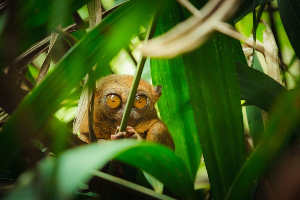 Photograph by Алексей Афанасьев