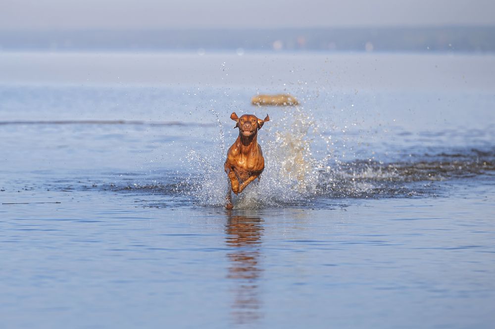 Photograph by Мария Новоселецкая