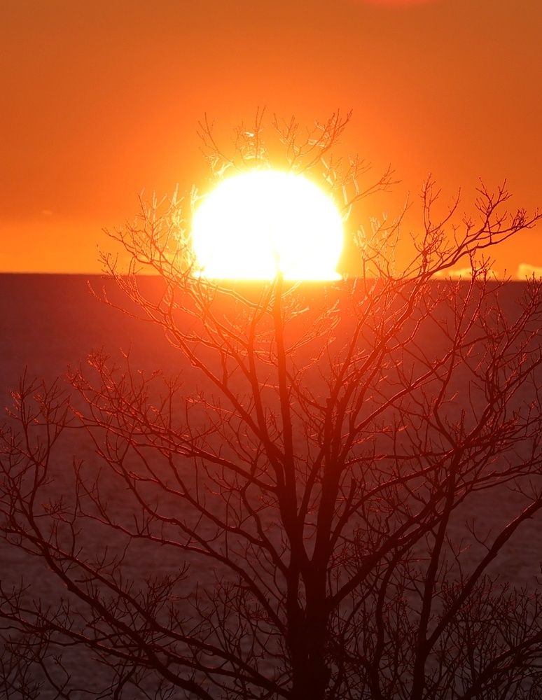 Photograph by Sergey Chernyak