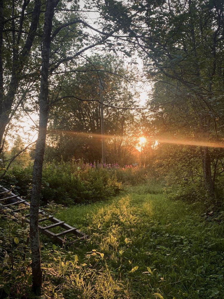 Photograph by Наталия Тарасова